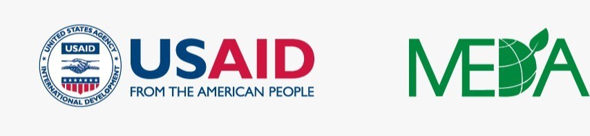 USAID      MEDA